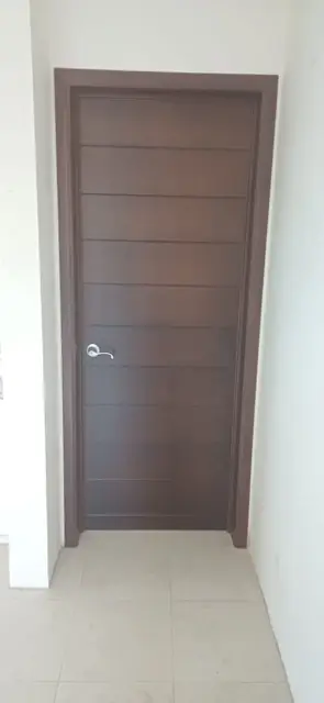 Puertas entintadas y de chapa de madera — foto 3