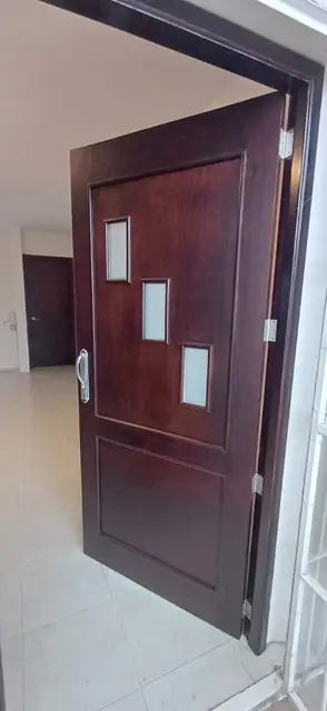 Puertas entintadas y de chapa de madera — foto 5